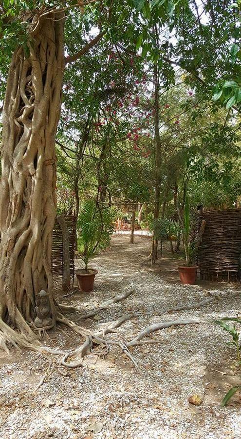 Evergreen Eco Lodge Retreat Tujereng Bagian luar foto